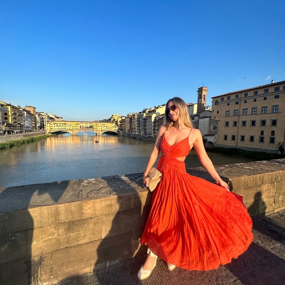 Zimmerman dress - Picture 4 of 5